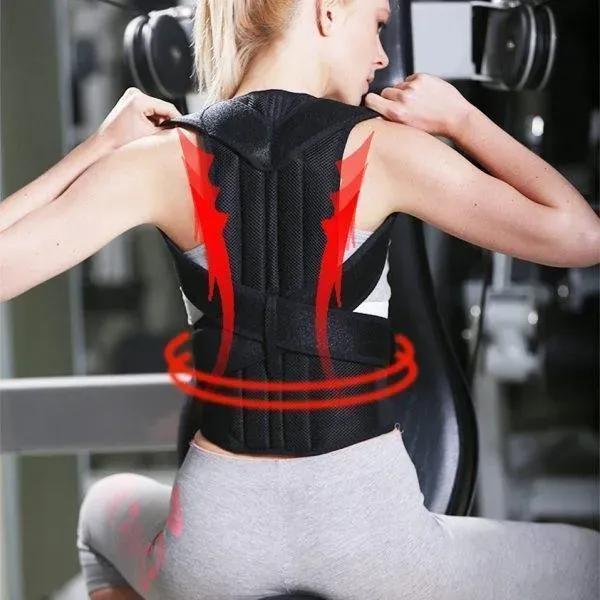Premium Back Pain Relief & Posture Corrector Belt